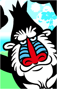 Mandrill's image