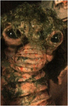 Loje Nella's image