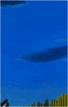 Image 24