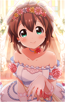 Miki Hoshitsuki