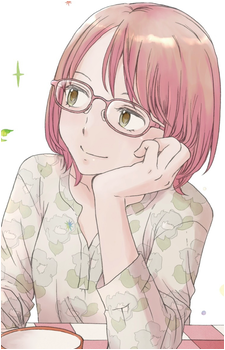 Shibata's image