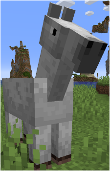 Horse's image