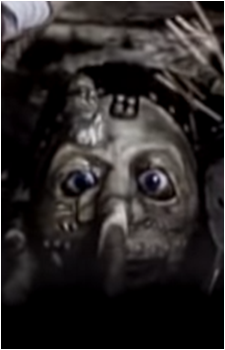 Chris Fehn
