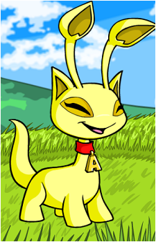 Aisha's image