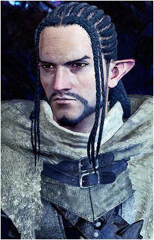 The Seeker's image