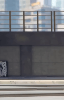 Image 30