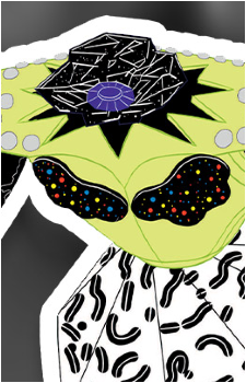 Mr. Blackhole's image