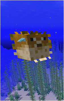 Pufferfish's image