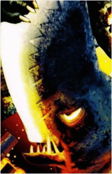 Image 3 Image 3