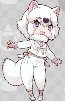 Japanese Raccoon Dog
