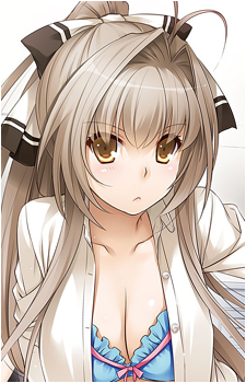 Image 11 of Isuzu Sento