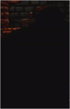 Ganon {CDi}