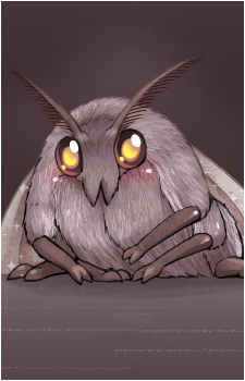 Moth-chan