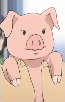 Pork Bowl