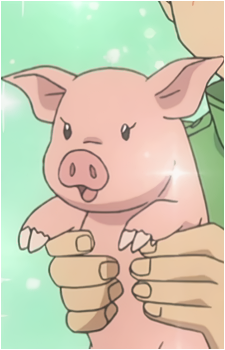 Pork Bowl