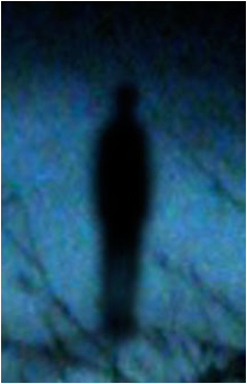 SCP-4666's image
