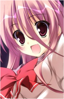 Image 4 Image 4