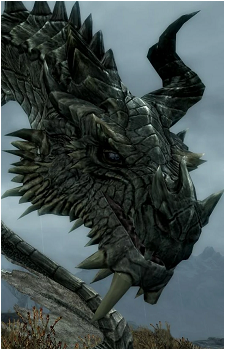 Paarthurnax's image
