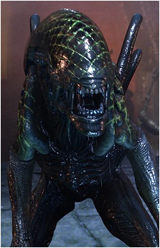 Grid {AVP}'s image