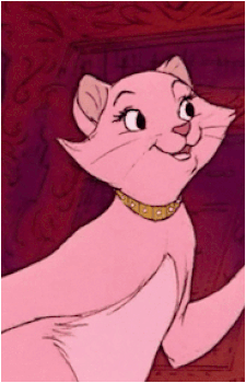 Duchess