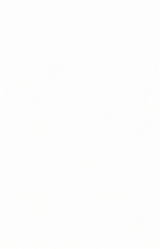 Image 19 Image 19