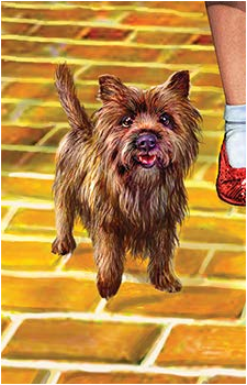 Toto's image
