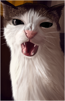 Crunchy Cat Luna's image