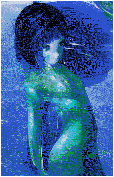 Image 5 Image 5
