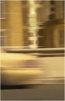 Image 30