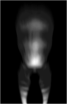 Image 31