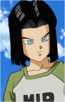 Android 17