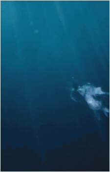 Leviathan {FF}