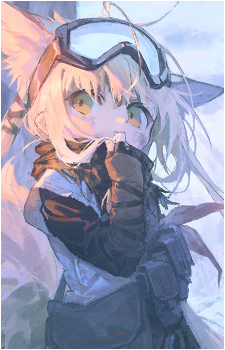 Image 9