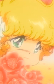 C-ko Kotobuki