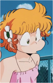 C-ko Kotobuki