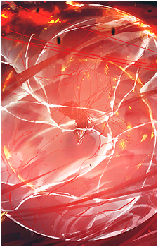 Butterfly of Entangled Lives [羅生蝶]'s image