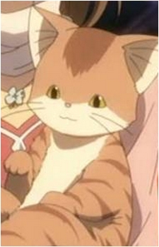 Katsuki Shima