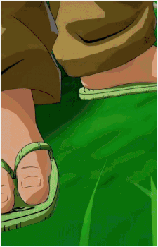 Master Roshi