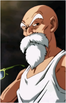 Master Roshi