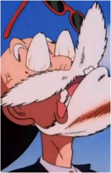 Master Roshi