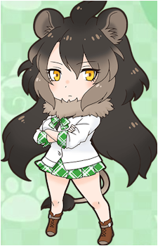 Transvaal Lion