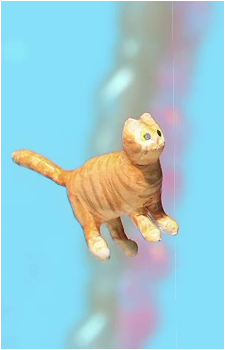 Chappy's image