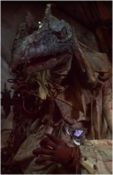 Image 4 Image 4