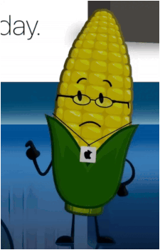 Steve Cobs