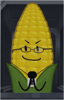 Steve Cobs