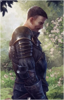 Rainfarn