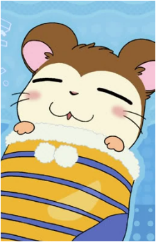 Snoozer's image