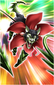 Kurobana the Shadow Flower Wolf's image