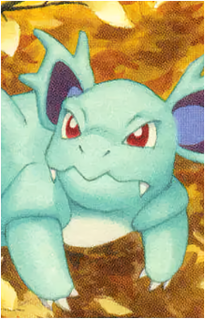 Image 30