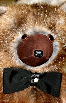 SCP-1048's image
